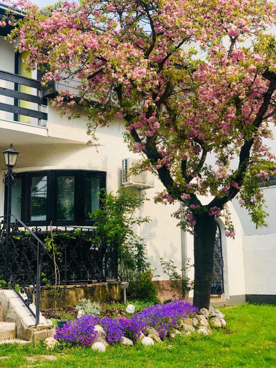Pilot's Manor - Airport Villa *